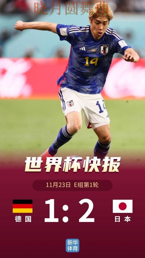 世界杯投注app为什么越来越多人关注一文看懂